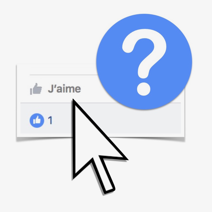 Capture d’écran 2017-01-18 à 08.32.39 (1).jpg