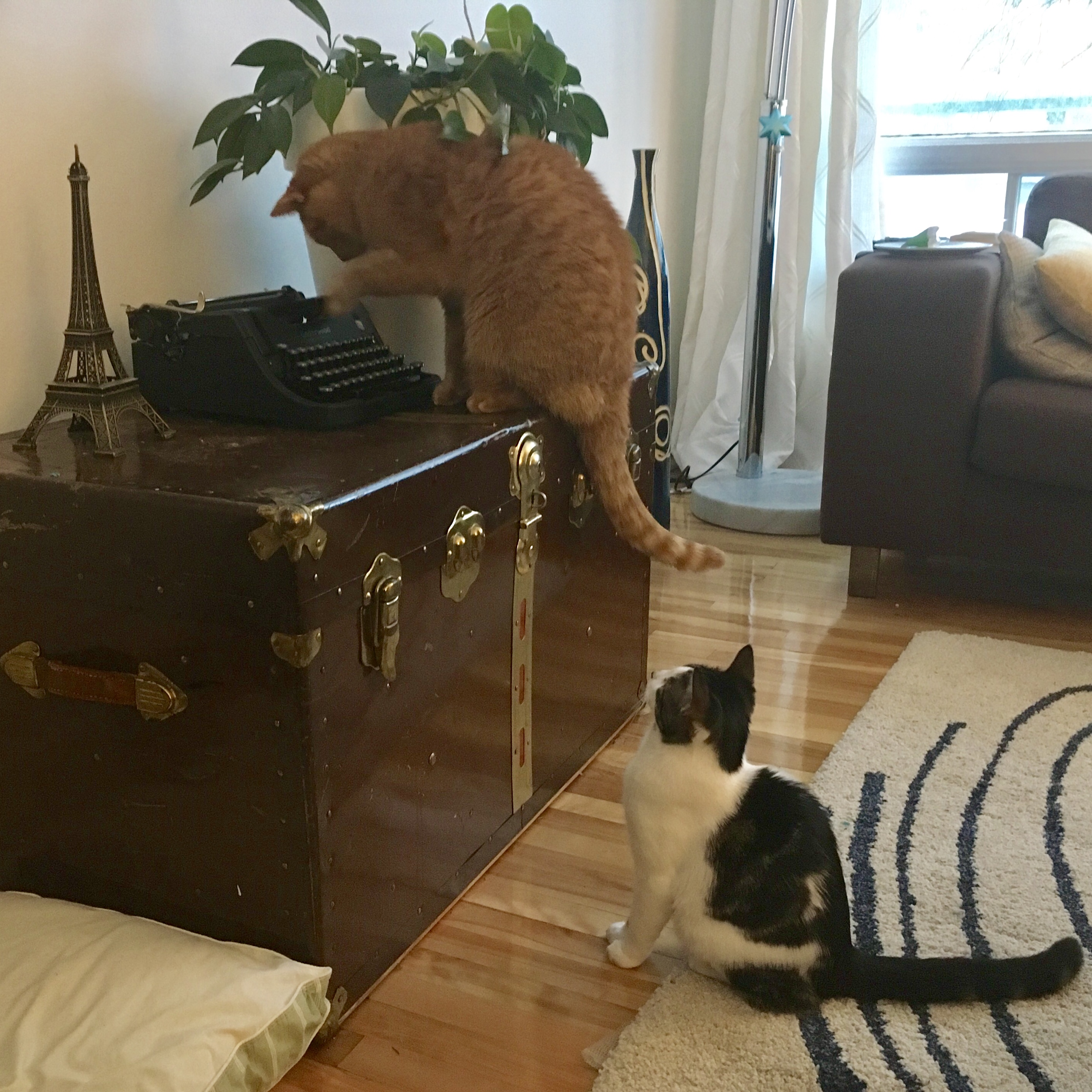 6C3A2934-3B53-4045-AF84-E22B6D4AB150