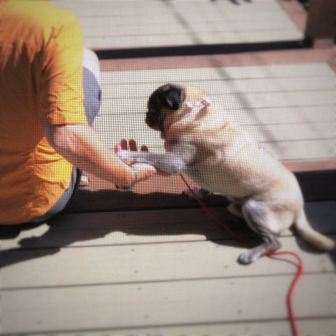 9CC68D1F-EAF8-4C9C-8F61-9E1C42DAAC49