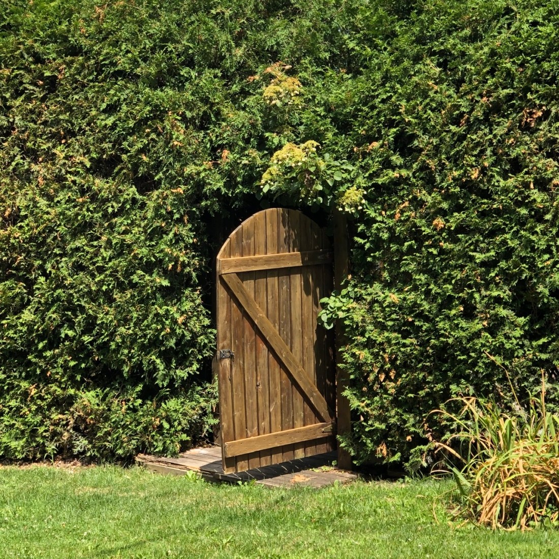 EC094554-4740-4DDF-BF01-72894F26DA39