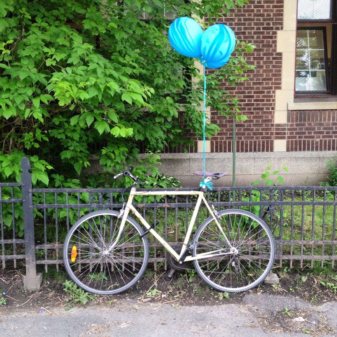 49CCF385-6F8C-4075-A223-06C46C9BC7C2