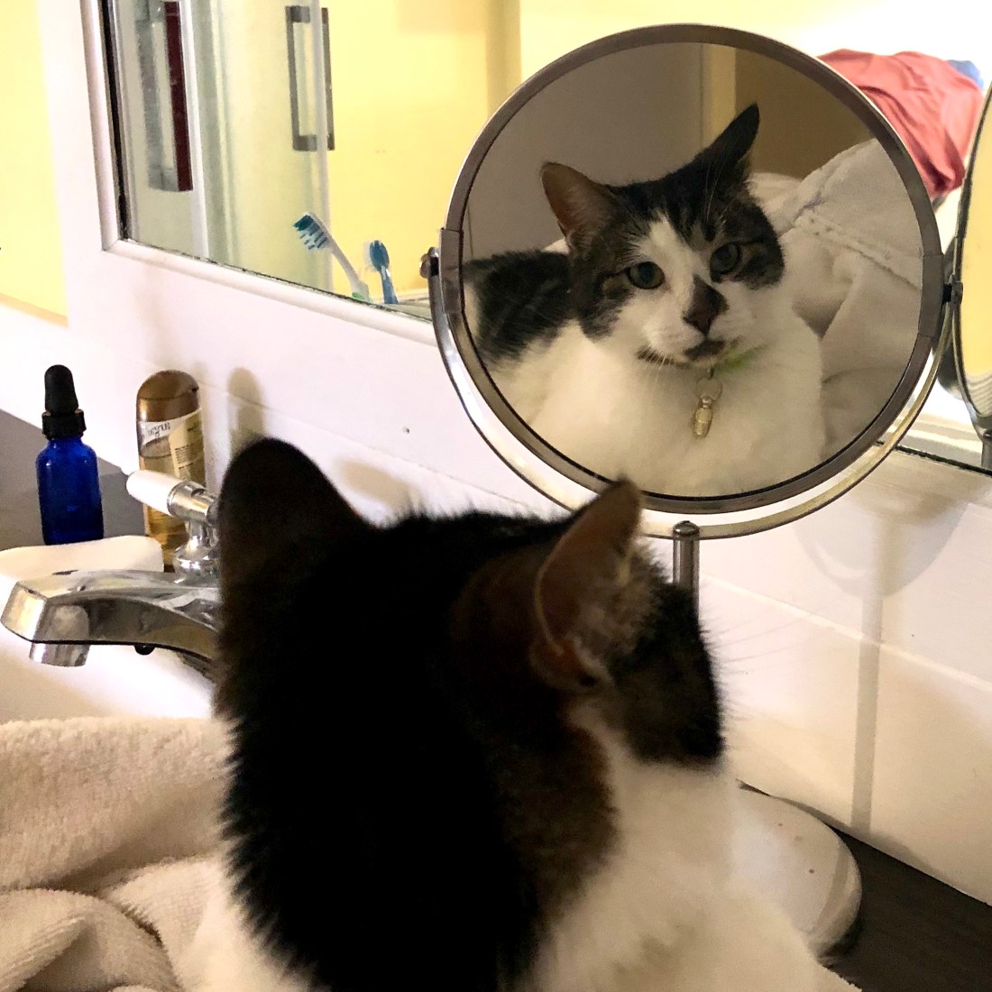 A3A6A485-F31E-4BBD-AD26-6EA4BA473C28